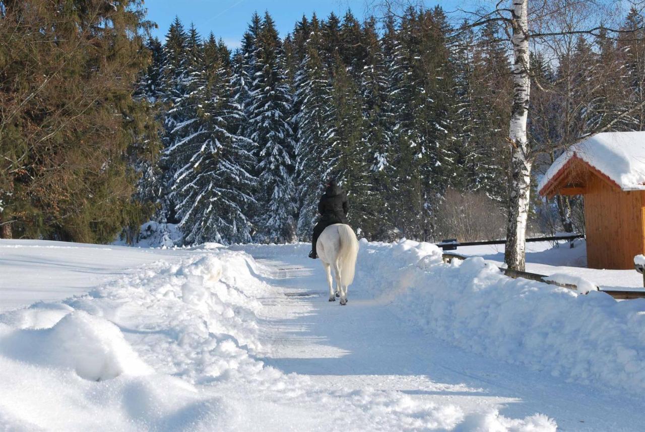 Ruheoase Am Forggensee リーデン エクステリア 写真